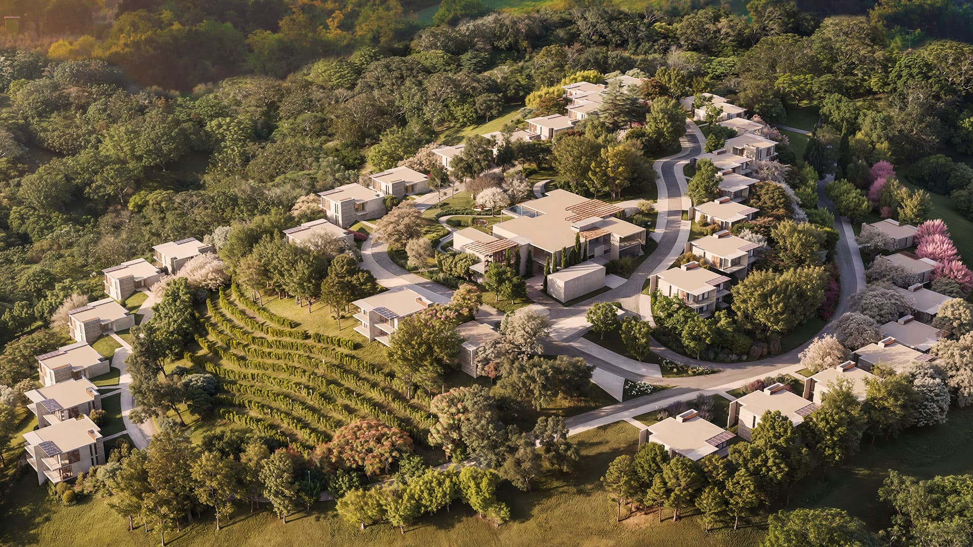 Vive Le Vin - Vista Aérea do Empreendimento