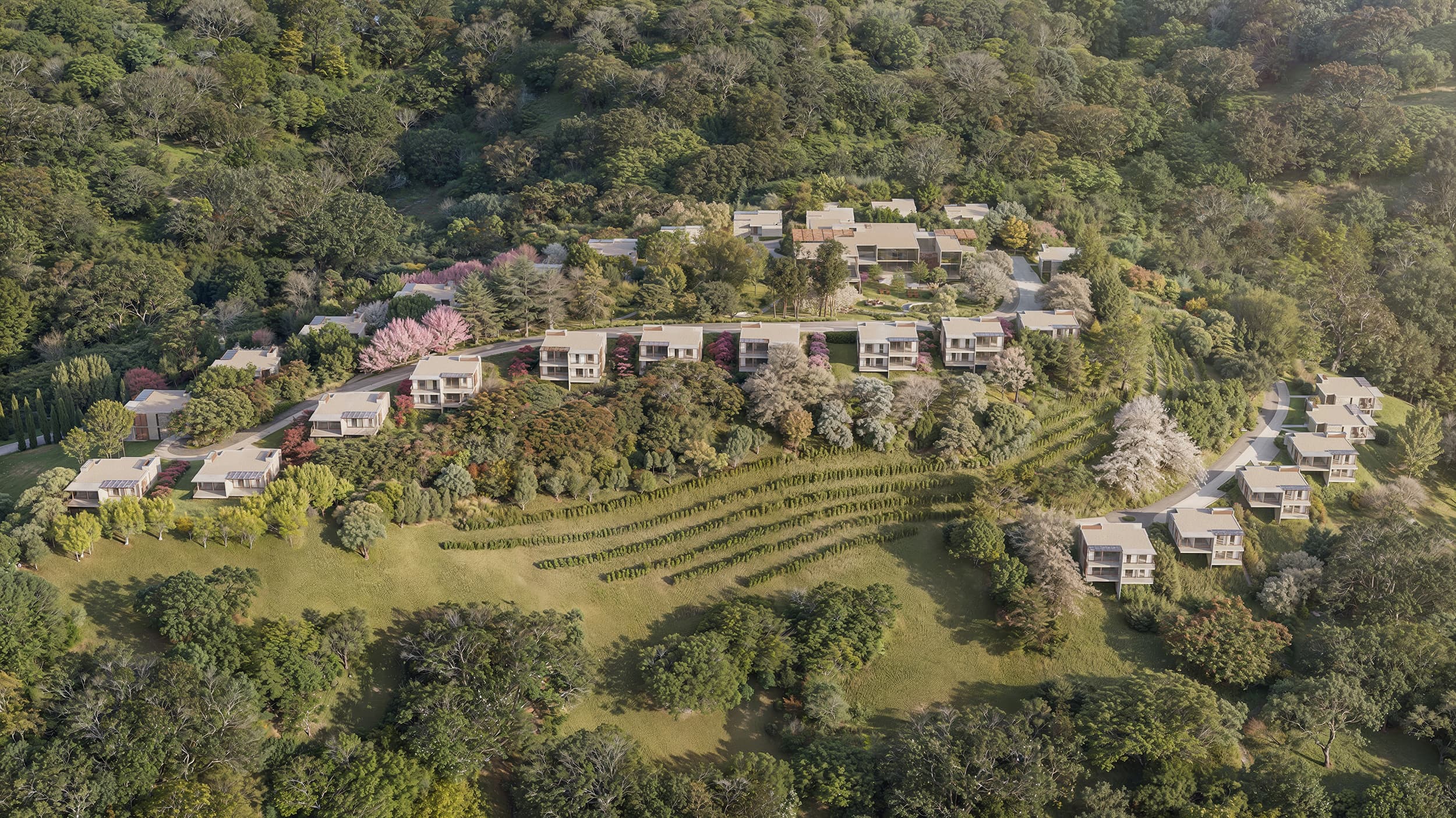 Vive Le Vin Pedra Azul - Vista Aérea