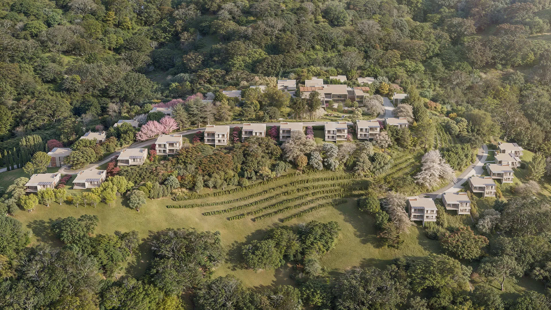 Vive Le Vin Pedra Azul - Vista Aérea